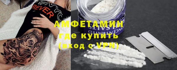 дурь Бородино