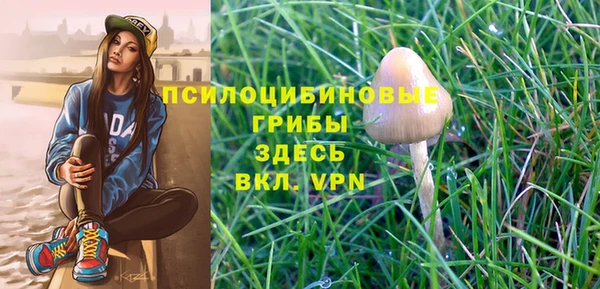 гашиш Бронницы
