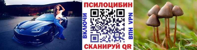 Галлюциногенные грибы прущие грибы  mega ссылки  Донской  даркнет сайт 
